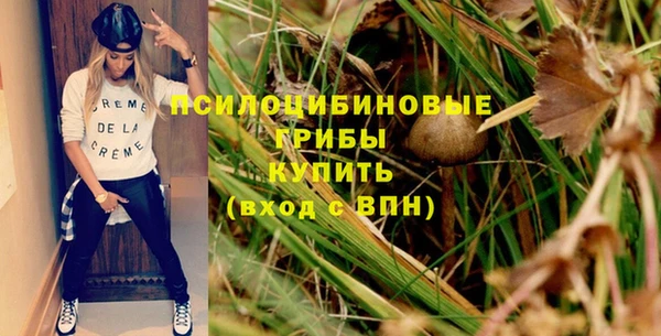 гидра Абдулино