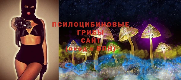 гидра Абдулино