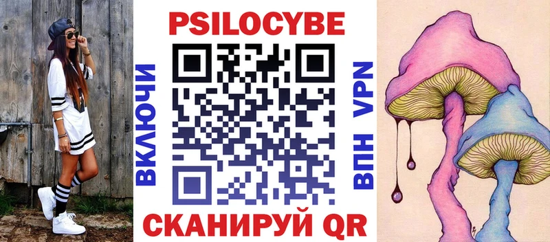 Псилоцибиновые грибы GOLDEN TEACHER  купить наркотики цена  Мамадыш 